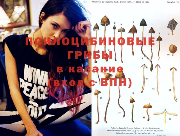 гидропоника Абинск