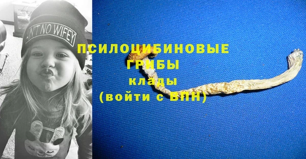 мяу мяу мука Абаза